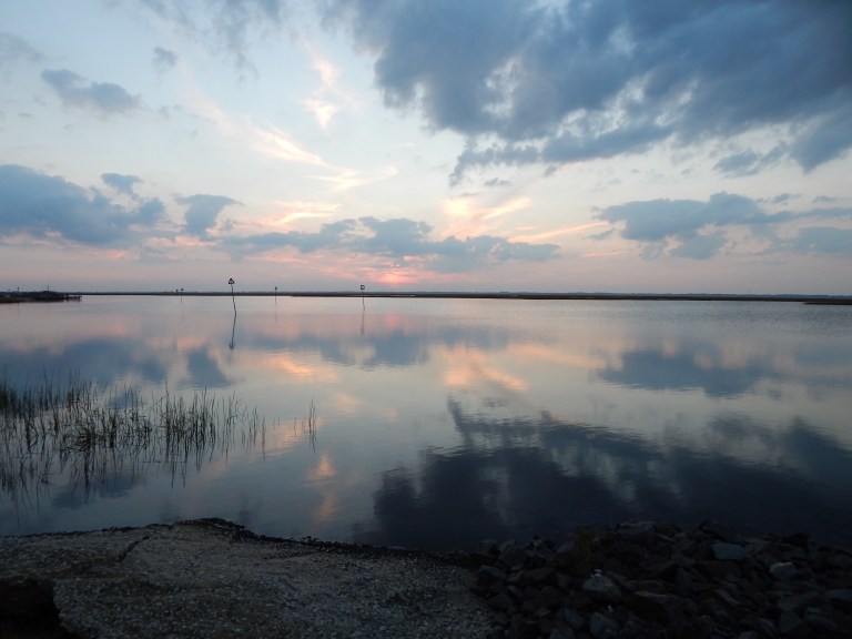 Photo by Renee Hoyle - used by permission.