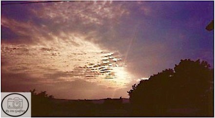 Screen Shot 2018-03-22 at 4.47.37 PM.jpg