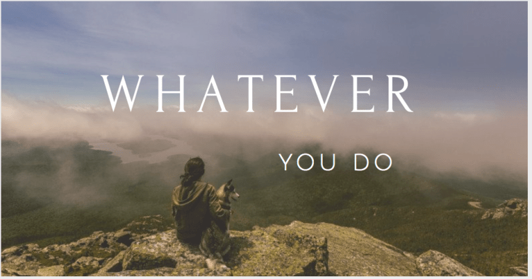 Screen Shot 2018-06-20 at 11.40.45 AM