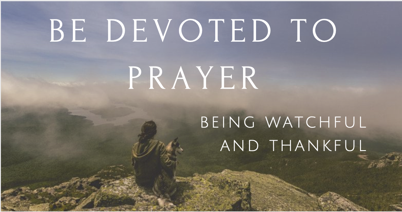 Screen Shot 2018-11-10 at 11.52.12 AM