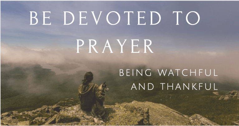 Screen Shot 2018-11-10 at 11.52.12 AM