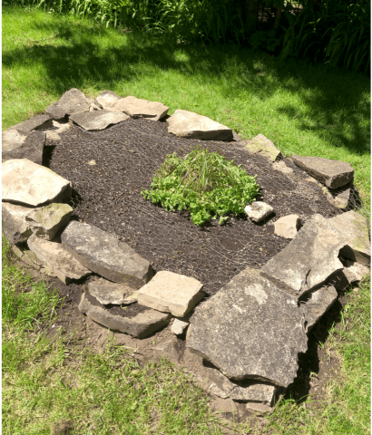 Screen Shot 2019-06-08 at 3.49.18 PM